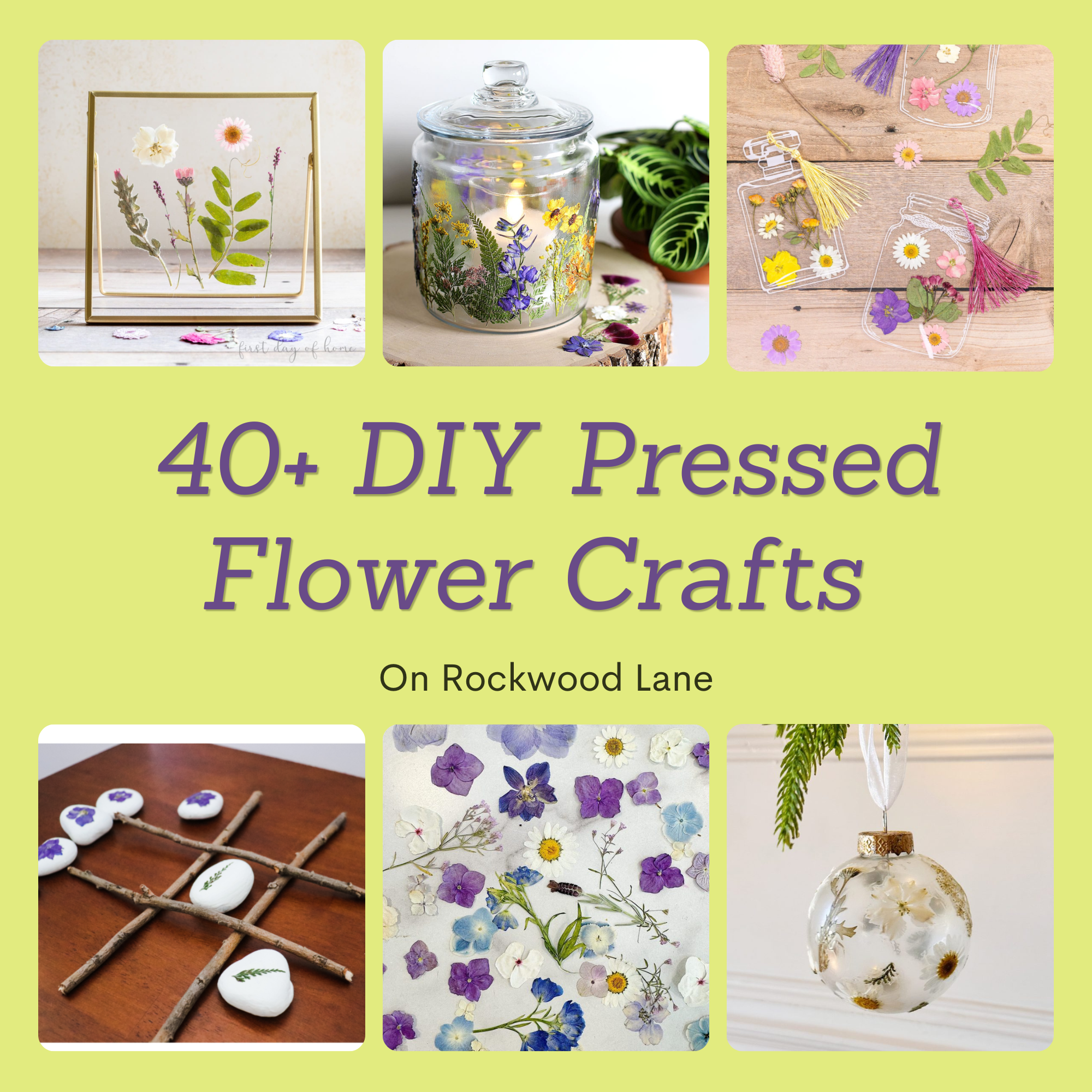 DIY Pressed Flower Crafts